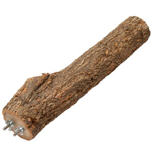 RN̂Ƃ܂؁@30cm@^CR@IE@֓