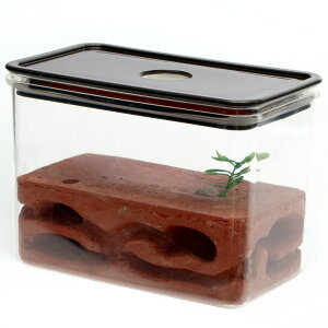 AgsA@n㕔̌^@lXg@^@֓