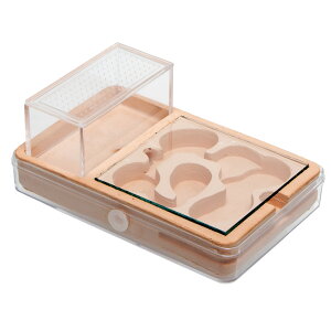 AgsA@ANeBuGǍ^@lXg@֓