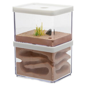 AgsA@n㕔̌^@lXg@c^@@֓