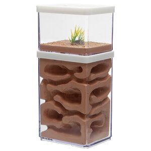 AgsA@n㕔̌^@lXg@c^@@֓