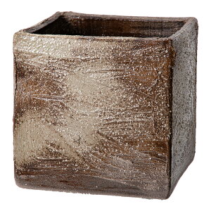 @@Y@萇@@vqā@ʁiSAIj@p@eځ@@a18cm@rIg[v@֓