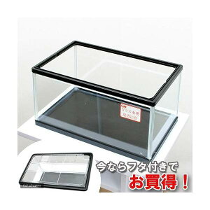 亀水槽 フタ付き 鈴木製作所 カメ水槽300(310×190×165) お一人様2点限り 関東当日便