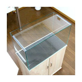 ガラスフタ　オールガラス水槽アクロ60用（幅58×奥行24cm）　1枚　関東当日便
