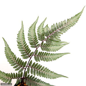 iR쑐jV_irjjVLV_iїr@AVEj3i1|bgjhixԁj