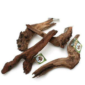 `󂨔C@R؁@i25cm`j@1{@ANAE@@֓