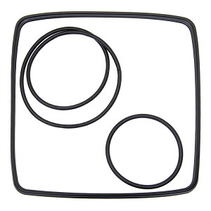 エーハイム フィルターケースOリング 2080用 関東当日便