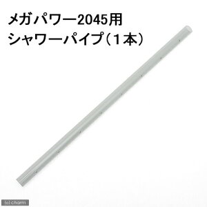 GEX@V[pCv@Kp[2045p@1{@WFbNX@֓