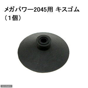 GEX@LXS@1@Kp[2045p@WFbNX@֓