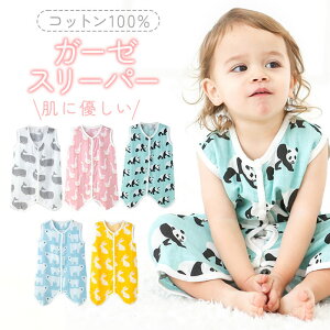 X[p[K[[ K[[ X[p[ XRbg X[p[ 100 xr[ Xibv{^ Ԃ V LbY  