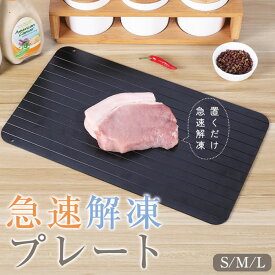 解凍プレート 急速解凍 プレート 自然解凍 解凍 まな板 急速 解凍 肉 刺身 冷凍食品対応 解凍皿 プレート粗熱 アルミ スピード 冷凍食品 業務用 家庭用