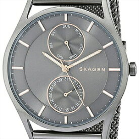 SKAGEN スカーゲン 腕時計 SKW6180 メンズ Holst ホルスト