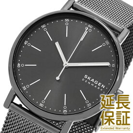 SKAGEN スカーゲン 腕時計 SKW6577 メンズ SIGNATUR シグネチャー