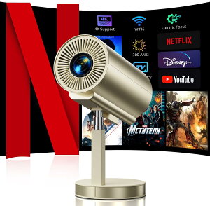 vWFN^[ ƒpyAndroid TV&APPp\E&LkX^hE90°]z^ z[vWFN^[ 1080p 300ANSI Px V䓊e Wi-Fi6 4KΉ 3DTEh Ze 