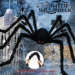  w w N XpC_[ ~ nEB  N  Nʂ | 90cmp[eB[ | nEB[ p[eB[   蕨  ~v