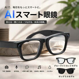 スマートグラス AIグラス カメラ付きメガネ Bluetooth5.4 ワイヤレスイヤホン 写真撮影 動画撮影 音声録音 AI画像認識 AI翻訳 音声アシスタント ハンズフリー通話 音楽再生 IP65防水 軽量 35g 長時間待機 Android iPhone対応