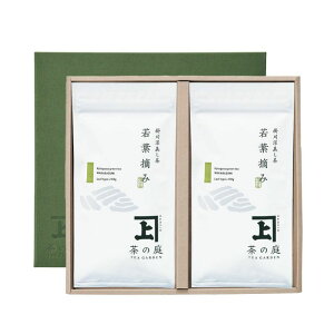 tE 100g×3{  Β { É |쒃 [ ⒃ lߍ킹  䒆 j j ăMtg  c hV̓  Mtg Zbg v[g 