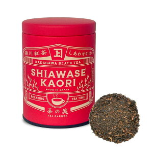 |g 킹ق [tʓ 50g g ag ׂɂӂ É |쒃  蕨   [t t  