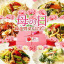 健康を考えた 母の日 緑黄野菜中華6品セット 送料無料 冷凍食品 食品 御中元 お中元 時短 プレゼント 食べ物 レトルト食品 お惣菜 詰め合わせ おかず お取り寄せグルメ お弁当 冷凍 レトルト 食品