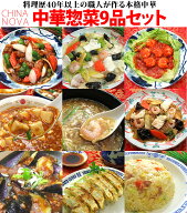 中華料理9種9品セット 送料無料 父の日 時短 中華惣菜 2025 中華 セット ギフト 冷凍食品 食べ お惣菜 詰…