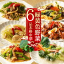 健康を考えた 緑黄野菜中華6品セット 送料無料 冷凍食品 食品 御中元 お中元 時短 プレゼント 食べ物 レトルト食品 お惣菜 詰め合わせ おかず お取り寄せグルメ お弁当 冷凍 レトルト 食品