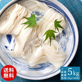 長崎特産 島原手延べ そうめん 素麺 5kg 100束 約65人前 保存食 非常食 ご家庭用 メール便 送料無料 お中元 プチギフト らーめん 家庭用 業務用 大容量 誕生日 ホワイトデー