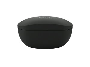 SONY �\�j�[WF-SP800N �t�� �[�d�P�[�X�@�����i�@�y���^�[�p�b�N�ցz