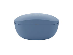 SONY �\�j�[WF-SP800N �t�� �[�d�P�[�X�@�����i�@�y���^�[�p�b�N�ցz