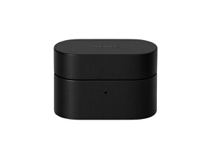 SONY WF-1000XM6 ��p �P�[�X�J�o�[ HAC-1000XM6C�iB�j�u���b�N �iH�j���C�g�O���[ �V�i �y���^�[�p�b�N�v���X�ցz