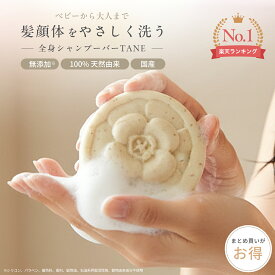 固形シャンプー 全身シャンプーバー TANE 無添加 敏感肌 ベビー対応 リンス不要 洗顔石けん 日本製 椿油 旅行 介護 防災 ジム アウトドア 1個 2個 3個 4個 5個 85g CHANTIQUE