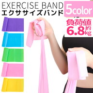 【送料無料】 エクササイズバンド セラバンド トレーニングチューブ ゴムバンド 美尻 初心者 ポーズ 補助…
