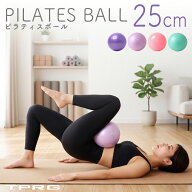 2025年新色追加 ピラティスボール ミニ バランスボール フィットネスボール 25cm ヨガボール 割れにくい …