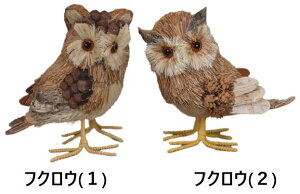 tNEiiԁFCN-7jӂ낤  u CeA IuWF A N  G A nhCh 葢  Â