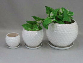 楽天市場 植木鉢 激安の通販