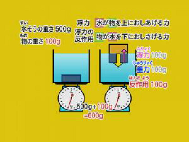 楽天市場 Dvd わかるよ 力のはたらき１ あす楽 知育 教材 幼児 子供 小学生 中学生 家庭学習 自宅学習 宿題 勉強 中学受験 にっく映像 理科 中学受験向けセレクト 知育 英語 教材の ちゃおーね