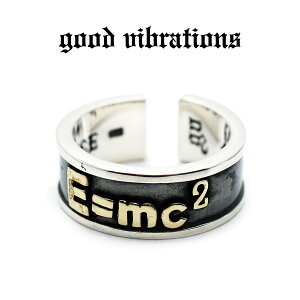 ygood vibrations K戵XzyzVo[ANZT[ w ObhoCu[VY ACV^C I}[W E=mc GlM[Ǝ ꑊΐ_ Vo[O t[