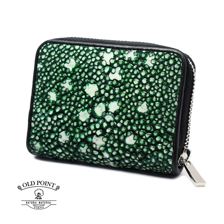 楽天市場】【超希少】【限定カラー】イバラエイ スタースティングレイ  