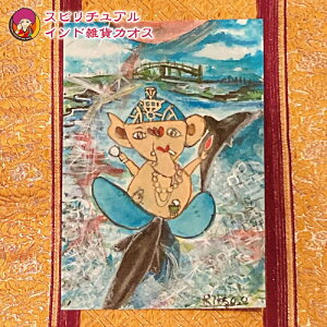 yuIvKl[VA[guDoiphin`CJ`viA5TCYjzKl[V `N ґz Xs`A@Mtg@Xs`AChG݃JIX