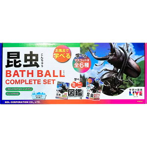 w}LIVE oX{[ 6Zbg A^Cv Ώ۔N12Έȏ CŊwтƔ (LN^[: Aj Ώ۔N12Έȏ