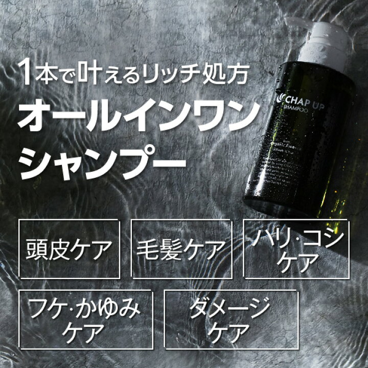楽天市場】公式 チャップアップ CHAP UP シャンプー メンズ ボトル 