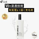【 楽天39冠 】 公式 チャップアップ CHAP UP 医薬部外品 育毛剤 男性用 メンズ 女性用 レディース 育毛トニック 薬用 育毛 男性 女性 スカルプ 頭皮ケア ヘアケア 薄毛 薄毛対策 抜け毛 予防 頭皮 産後 発毛促進 養毛 養毛剤 ヘアトニック 全額返金保証 120ml 1本 ～