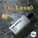 【20％ポイント還元★12/26 9:59まで】【全額返金保証】[医薬部外品] 公式 チャップアップ CHAP UP 育毛剤 育毛トニック スカルプケア スカルプ ヘアトニック 男性用 男性 女性 メンズ 産後 発毛促進 養毛 育毛 薄毛対策 薄毛 抜け毛対策 抜け毛予防 頭皮 120mL 1本～
