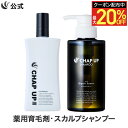 【最大20％OFFクーポン配布中 2/10 1:59まで】【全額返金保証】 送料無料 公式 チャップアップ 育毛ローション 1本×120mL＆ シャンプー 1本×300mL CHAP UP 育毛剤 男性用 男 育毛トニック ヘアトニック シャンプー メンズ スカルプシャンプー