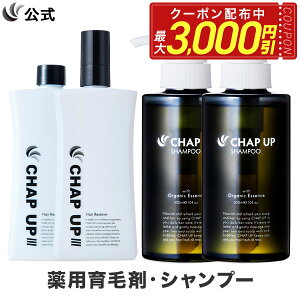 yő3,000~OFFN[|zz11/11 1:59܂ŁzySzԋۏ؁z   `bvAbv CHAP UP у[V 2{×120mL Vv[ 2{×300mL э jp j уgjbN wAgj