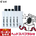 【最大20％OFFクーポン配布中 2/10 1:59まで】【ヘッドスパブラシプレゼント中】 公式 チャップアップ CHAP UP 医薬部外品 育毛剤 男性用 メンズ 女性用 レディース 育毛トニック 薬用 育毛 男性 女性 スカルプ 頭皮ケア ヘアケア 薄毛 薄毛対策 抜け毛 予防 120ml 5本 ～
