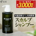 【最大3,000円OFFクーポン配布中★7/11 10:59まで】公式 チャップアップ CHAP UP シャンプー メンズ ノンシリコン スカルプケア スカルプシャンプー スカルプ 頭皮ケア ヘアケア メンズシャンプー オールインワン 濃密泡 アミノ酸 オーガニック 洗浄力 300mL 1本～