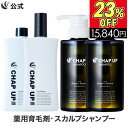 【23％OFF★6/27 10:59まで】【全額返金保証】 送料無料 公式 チャップアップ CHAP UP 育毛ローション 2本×120mL シャンプー 2本×300mL 育毛剤 男性用 男 育毛トニック ヘアトニック シャンプー メンズ スカルプシャンプー