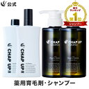 【全額返金保証】 送料無料 公式 チャップアップ CHAP UP 育毛ローション 2本×120mL シャンプー 2本×300mL 育毛剤 男性用 男 育毛トニック ヘアトニック シャンプー メンズ スカルプシャンプー