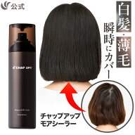 公式 チャップアップ CHAP UP モアシーラー ダークブラウン 無臭タイプ 薄毛隠し 毛髪ケア 白髪 ウォータ…