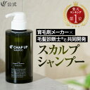 公式 チャップアップ CHAP UP シャンプー メンズ ノンシリコン スカルプケア スカルプシャンプー スカルプ 頭皮ケア ヘアケア メンズシャンプー オールインワン 濃密泡 アミノ酸 オーガニック 洗浄力 男性用 男性 300mL 1本～